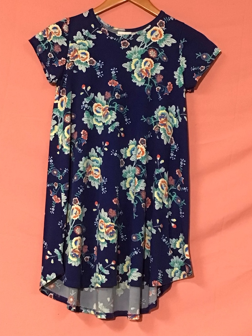 LuLaRoe Floral Carly Swing Dress